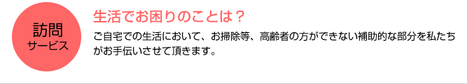 訪問サービス